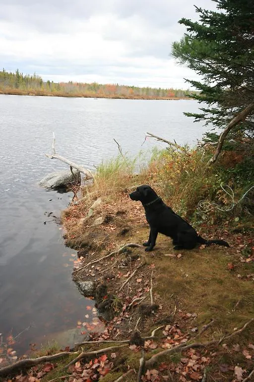 Trout Point Lodge Of Nova Scotia East Kemptville 5*,