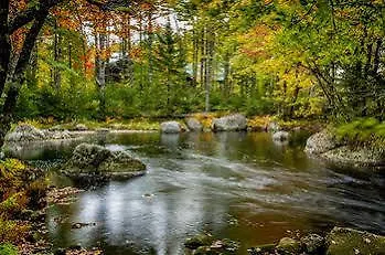 Trout Point Lodge Of Nova Scotia East Kemptville